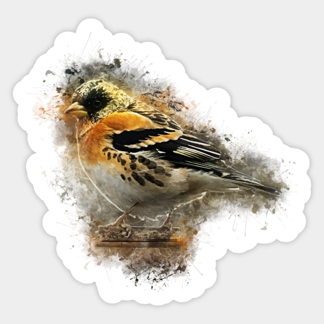 Brambling Sticker by ElviraDraat